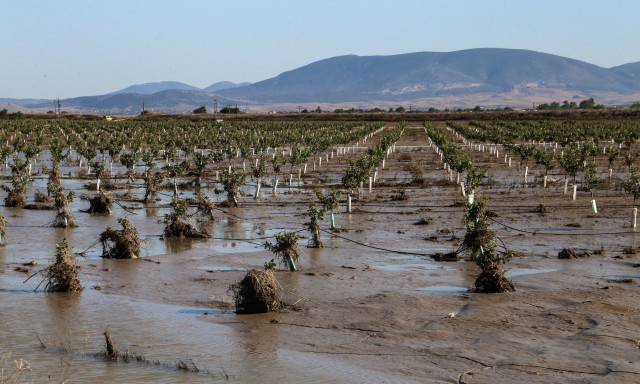 ΕΛΓΑ: Νέες πληρωμές σε εκατοντάδες δικαιούχους – Την Παρασκευή οι αποζημιώσεις για Daniel - Elias