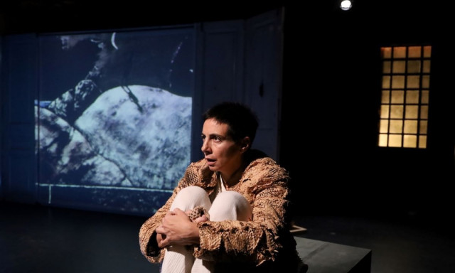 Θέατρο Θησείον: Τελευταίες παραστάσεις για το «Στη σκιά του Λούσια»