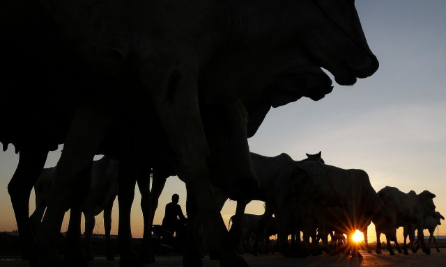 Η Δανία επιβάλλει «φόρο ρεψίματος» κατά της κλιματικής αλλαγής