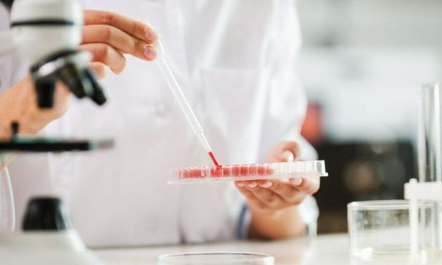 Επιστήμονες αναδημιούργησαν το «σύστημα GPS» του ανθρώπινου σώματος στο εργαστήριο