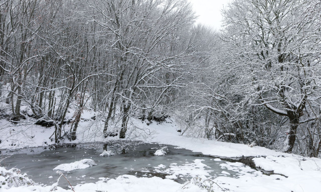 Καιρός: Έρχονται Χριστούγεννα με χαμηλές θερμοκρασίες – Οι περιοχές που θα ντυθούν στα «λευκά»