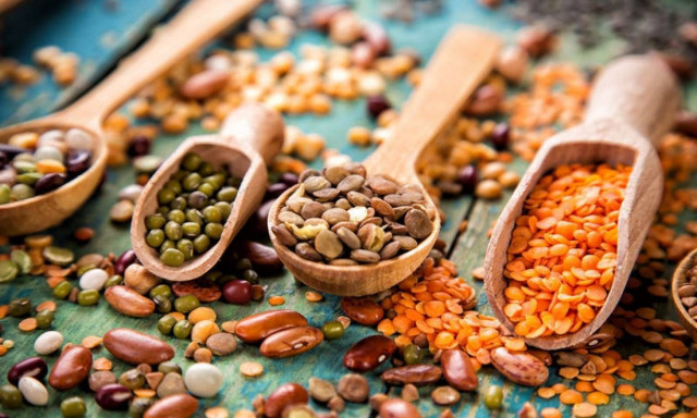 Ποια όσπρια περιέχουν σίδηρο; Εδώ είναι η απάντηση