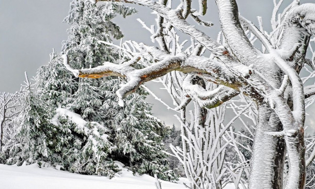 Καιρός: «Αυλαία» με χιόνια και καταιγίδες για το 2024 - Πώς θα κάνουμε Πρωτοχρονιά