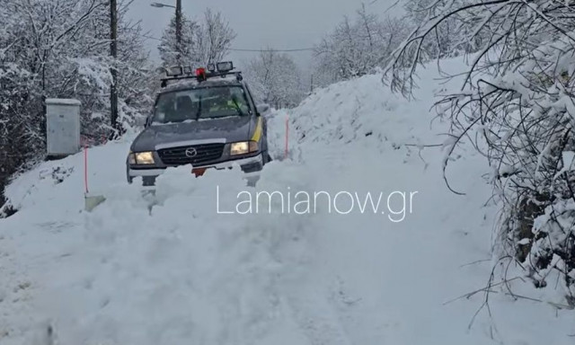 Λαμία: Στα «λευκά» η Οίτη και τα ορεινά χωριά του νομού - Εντυπωσιακές εικόνες