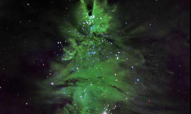 Ένα «σμήνος» χριστουγεννιάτικων δέντρων στο διάστημα - Εντυπωσιακές εικόνες της NASA