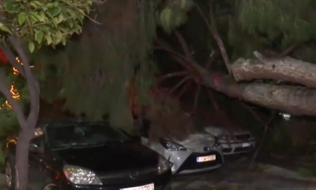 Νέα Σμύρνη: Δένδρο έπεσε σε αυτοκίνητα - Από θαύμα δεν θρηνήσαμε θύματα