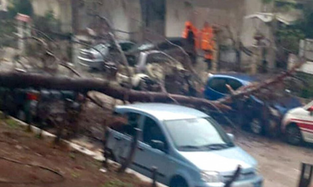 Ηλιούπολη: Δέντρα έπεσαν από το μπουρίνι της κακοκαιρίας Elena - Καταπλακώθηκαν αυτοκίνητα
