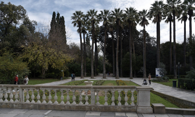 Ζάππειο: Έκλεισε ο Εθνικός Κήπος λόγω των ισχυρών ανέμων
