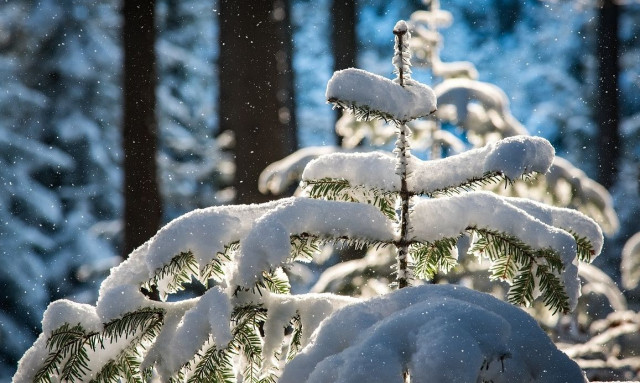 Καιρός: Πλησιάζει το «Aegean effect snow» - Ποιες περιοχές ντύνονται το Σαββατοκύριακο στα «λευκά»