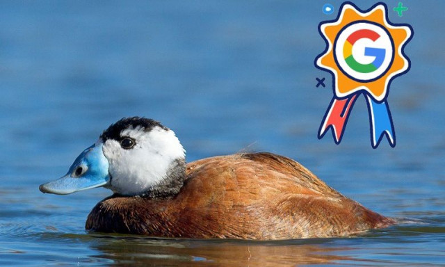 Πρώτο σε αναζητήσεις στο Google στην Ελλάδα για το 2024 ήταν ένα ξεχωριστό παπί