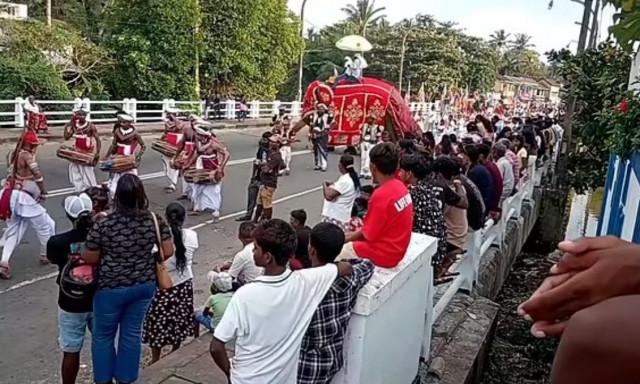 Πανικός σε φεστιβάλ - Ελέφαντας σε αμόκ ποδοπατά κόσμο