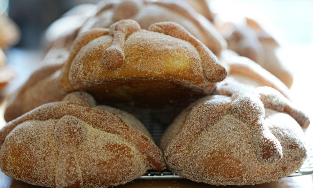 Ούτε ψωμί ούτε μπύρα - Τι έτρωγαν πραγματικά οι πρώτοι αγρότες στη βόρεια Ευρώπη