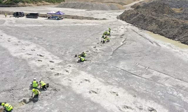 Ο «αυτοκινητόδρομος των δεινοσαύρων» - Ανακαλύφθηκε η μεγαλύτερη τοποθεσία με αποτυπώματα