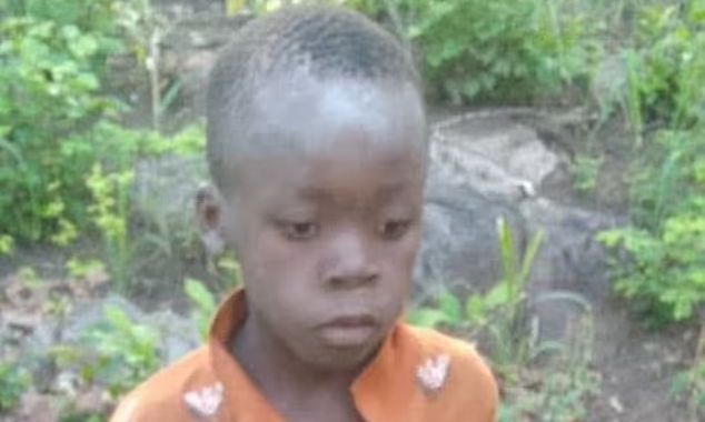 O αληθινός Μόγλι - Πώς 8χρονος επιβίωσε 5 μέρες περιτριγυρισμένος από 40 λιοντάρια