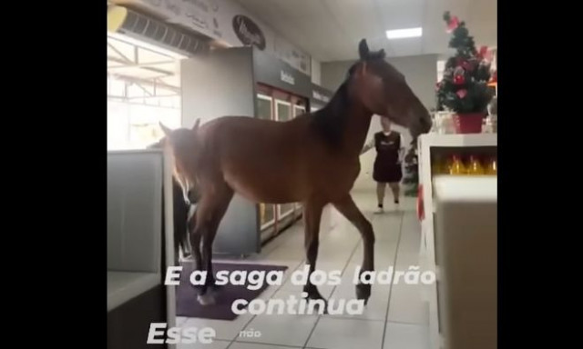 Βραζιλία: Άλογα εισέβαλαν σε σούπερ μάρκετ για να κλέψουν ψωμάκια - Δείτε βίντεο