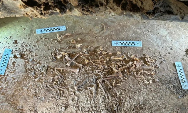 Εποχή των Παγετώνων: Σκελετός κόκκινης αλεπούς ηλικίας 26.000 ετών ανακαλύφθηκε σε σπήλαιο 