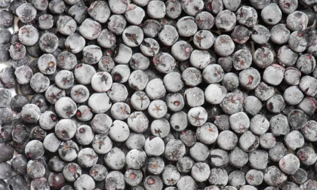 Μαύρος χρυσός: το γεμάτο βιταμίνες φρούτο που ρυθμίζει το σάκχαρο και την αρτηριακή πίεση