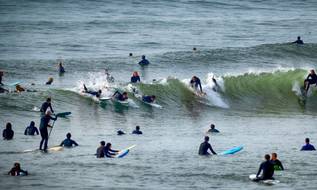 Αυστραλία: Κύμα καύσωνα - Συναγερμός για τον κίνδυνο νέων δασικών πυρκαγιών