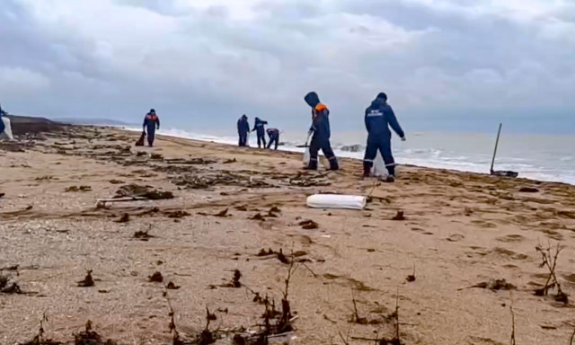Ρωσία: Περισσότερα από 30 θαλάσσια κήτη βρέθηκαν νεκρά στη Μαύρη Θάλασσα