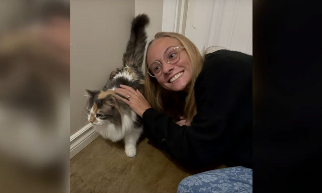 Καναδάς: Γάτα επανενώθηκε με την οικογένειά της μετά από 7 χρόνια, λίγες μέρες πριν τα Χριστούγεννα