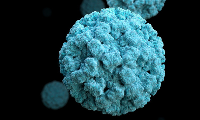 Νοροϊός: Μένει στα ρούχα για έως και έναν μήνα - Τι συνιστούν οι ειδικοί