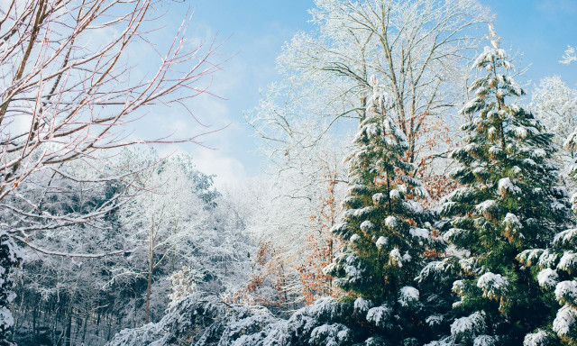 Καιρός: Χειμωνιάτικη «εισβολή» μετά τις 11 Ιανουαρίου - Πού και πότε αναμένεται ολική μεταβολή
