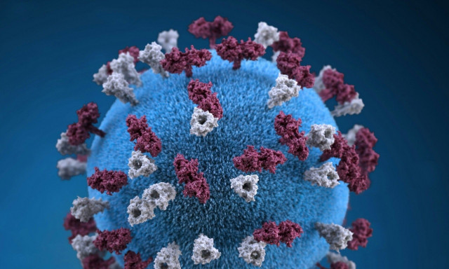 Πώς θα μειώσετε τις πιθανότητες να κολλήσετε τον μεταπνευμονοϊό