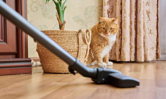 Πόσο συχνά πρέπει να βάζουμε σκούπα - Είναι απαραίτητο να σφουγγαρίζουμε αμέσως μετά;