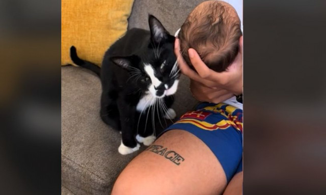 Λιώνει καρδιές η πρώτη συνάντηση της γάτας του σπιτιού με το νεογέννητο