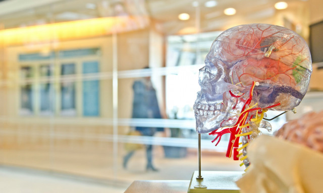 Λύθηκε το μυστήριο για τη μείωση του IQ σχεδόν ολόκληρου του πληθυσμού της Ευρώπης