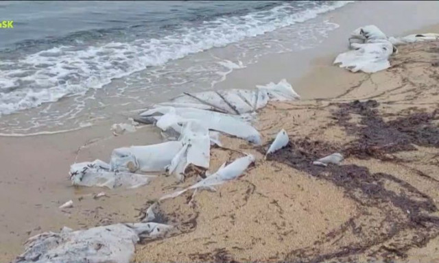 Χαλκιδική: Γεμάτη νάϊλον μια από τις πιο γνωστές παράλιες