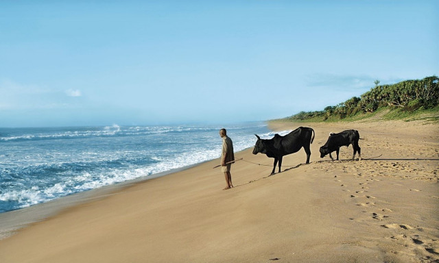 Cinedoc: Αφιέρωμα σε τέσσερα βραβευμένα μικρού μήκους ντοκιμαντέρ