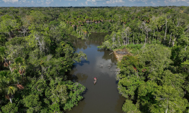Νέα έρευνα: Το ένα τέταρτο των ζώων του γλυκού νερού απειλούνται με εξαφάνιση