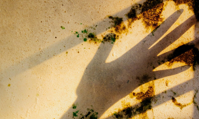 Εξαφανίστε τη μούχλα από τους τοίχους μέσα σε λίγα λεπτά