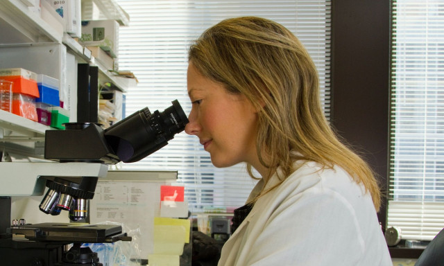 Ανανεώσιμη ενέργεια: Επιστήμονες μετατρέπουν τα βιομηχανικά απόβλητα σε μπαταρίες