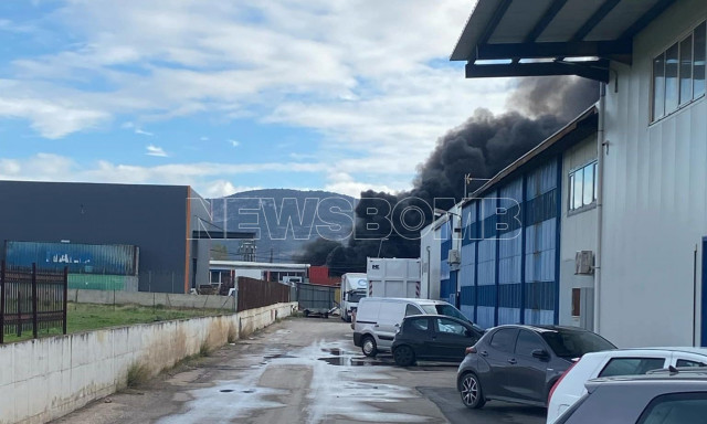 Μεγάλη φωτιά στον Ασπρόπυργο - Βίντεο ντοκουμέντο από το σημείο