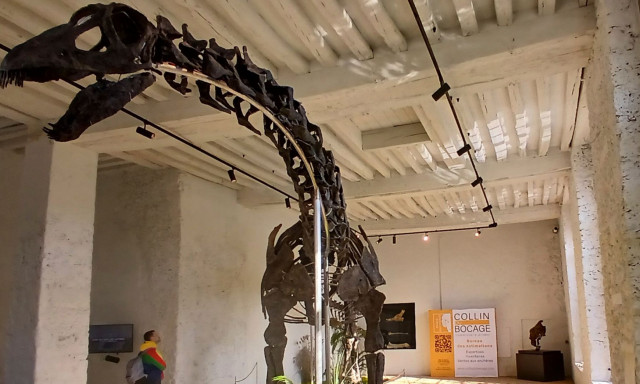 Νέα αρχαιολογική ανακάλυψη διαψεύδει την ιδέα μας για τους δεινόσαυρους