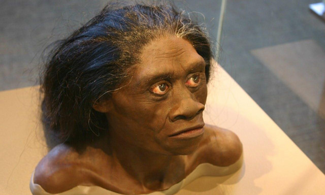 «Ζουν ανάμεσά μας»: Ίχνη στο σήμερα από φυλή αρχαίων «πιθηκάνθρωπων» όμοια με χόμπιτ