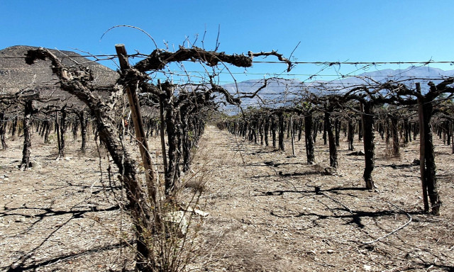 «Καμπανάκι» για τη αύξηση της θερμοκρασίας: Οι ακραίες ξηρασίες αναμένεται να γίνουν πιο συχνές