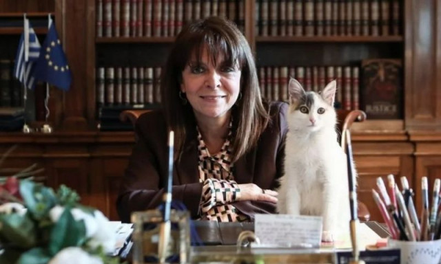 Κατερίνα Σακελλαροπούλου: Τι θα απογίνουν τα γατάκια του Προεδρικού Μεγάρου μετά την αποχώρηση της