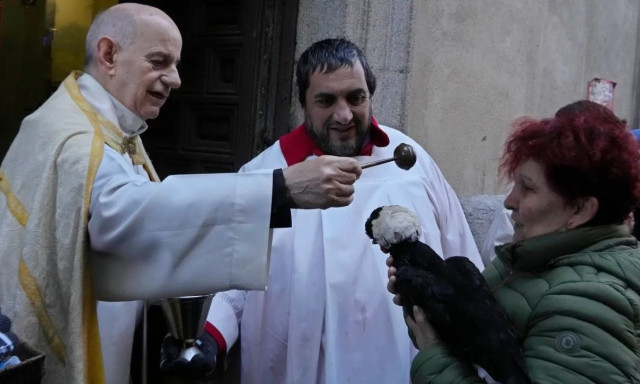 Ισπανία: Ζώα έλαβαν την ευλογία του Αγίου Αντωνίου σε μια παραδοσιακή τελετή