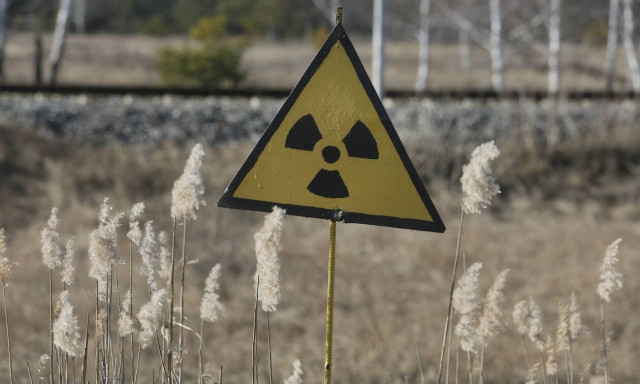 Γενετικές διαφορές στους σκύλους του Τσερνόμπιλ – Ποιος ο ρόλος της ραδιενέργειας