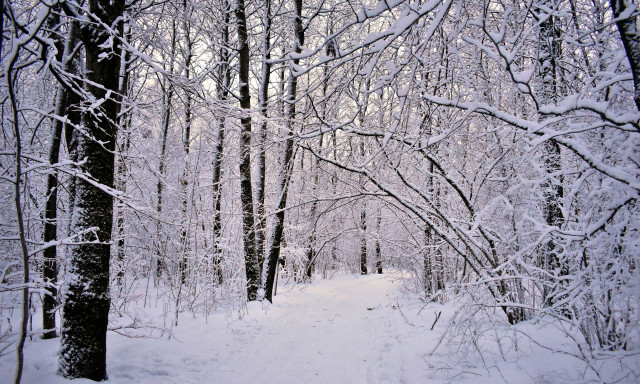 Καιρός: Σε χειμωνιάτικο «κλοιό» η χώρα ξανά από τις 21 Ιανουαρίου - Οι μετεωρολόγοι προειδοποιούν