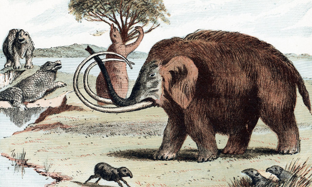 Αμερικανική εταιρεία θέλει να αναστήσει το μαμούθ μέχρι το 2028