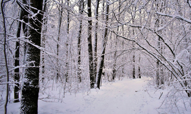 Καιρός: Ψυχρή «πρεμιέρα» για τον Φεβρουάριο - Πώς θα κυλήσουν οι επόμενες ημέρες