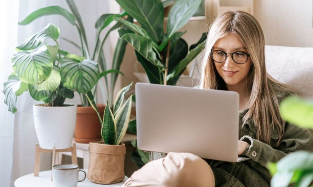 Αυτά τα τρία φυτά δεν πρέπει να βάλετε στο σπίτι σας