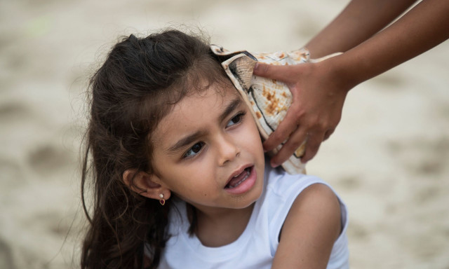 Τα αυτιά μας ίσως προέρχονται από αρχαία βράγχια ψαριών, ανακαλύπτουν οι επιστήμονες