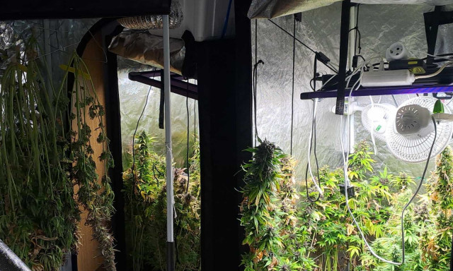 Ηράκλειο: Αδέρφια είχαν στήσει… εργαστήριο υδροπονικής καλλιέργειας χασίς