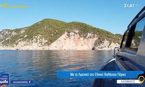 Αλόννησος: Οι περιπολίες του Λιμενικού νησίδα Πιπέρι, όπου ζουν και αναπαράγονται οι φώκιες