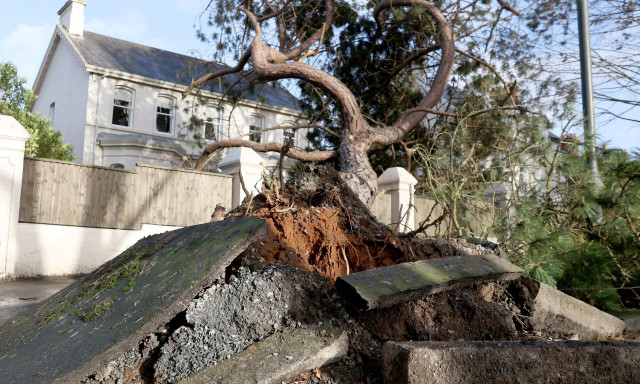 Μανιασμένοι άνεμοι σπάνε κάθε ρεκόρ στη Βρετανία - Συναγερμός και καταστροφές